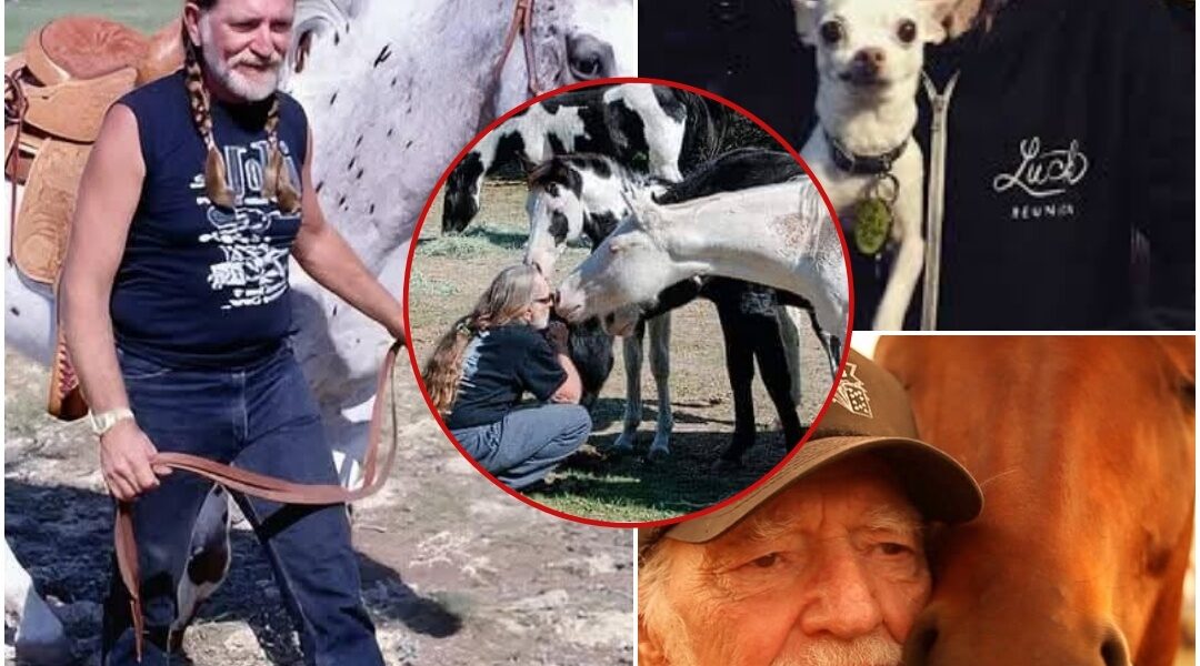 Some people play music. Others live it — and a few, like Willie Nelson, carry it in their hearts long enough to give it back to the world in the most unexpected ways.