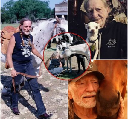 Some people play music. Others live it — and a few, like Willie Nelson, carry it in their hearts long enough to give it back to the world in the most unexpected ways.