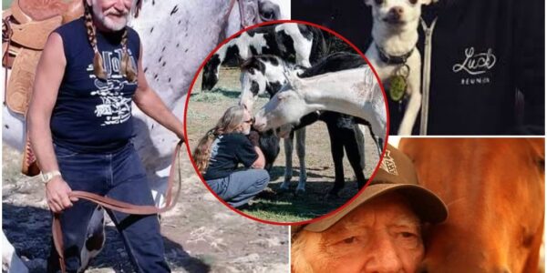 Some people play music. Others live it — and a few, like Willie Nelson, carry it in their hearts long enough to give it back to the world in the most unexpected ways.