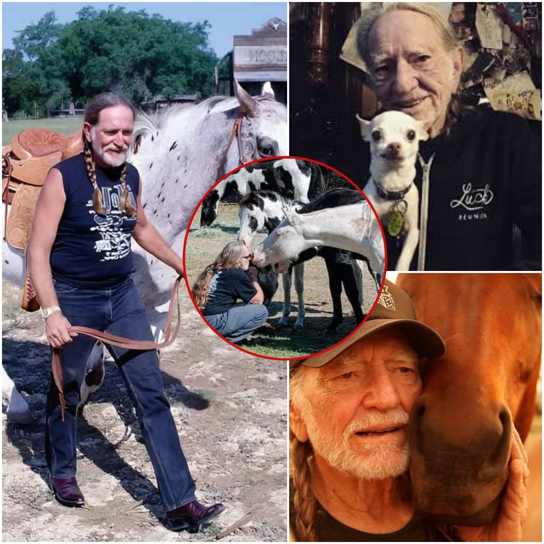 Some people play music. Others live it — and a few, like Willie Nelson, carry it in their hearts long enough to give it back to the world in the most unexpected ways.